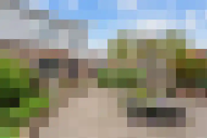 Appelhofshoeve 23 Steenwijk thumbnail 34