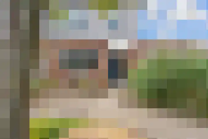 Appelhofshoeve 23 Steenwijk thumbnail 35
