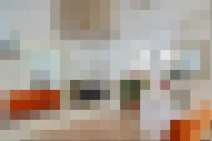 Appelhofshoeve 23 Steenwijk thumbnail 6