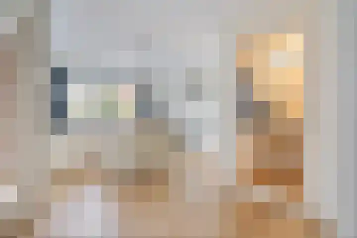 Appelhofshoeve 23 Steenwijk thumbnail 9
