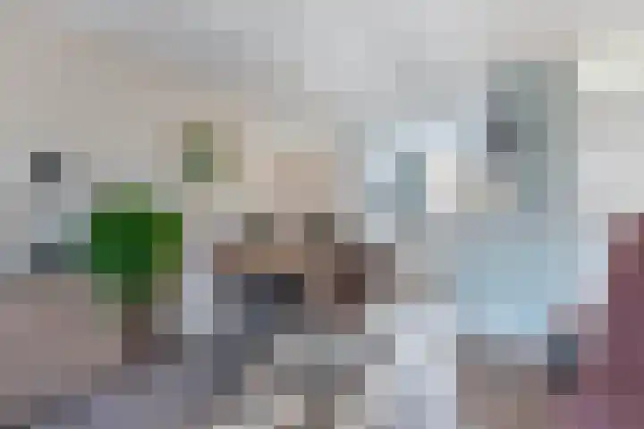 Appelhofshoeve 34 Steenwijk thumbnail 13
