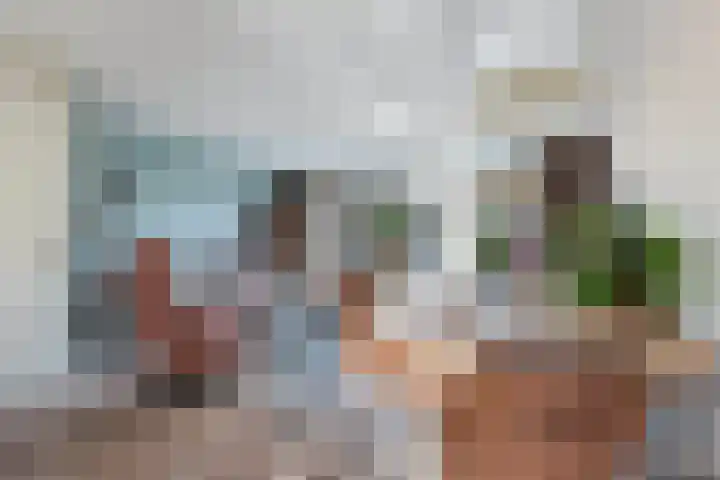 Appelhofshoeve 34 Steenwijk thumbnail 14