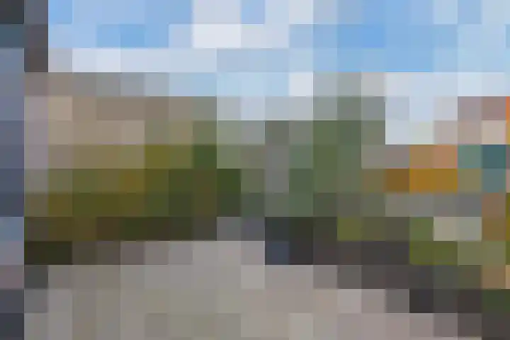 Appelhofshoeve 34 Steenwijk thumbnail 26