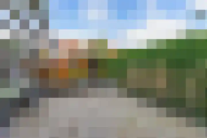 Appelhofshoeve 34 Steenwijk thumbnail 28