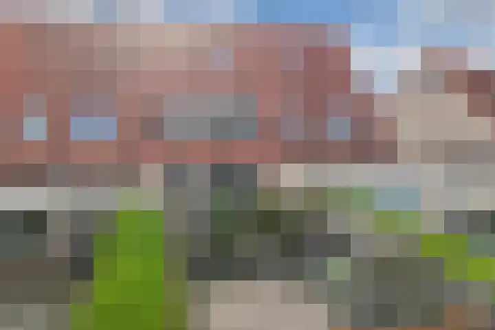 Appelhofshoeve 34 Steenwijk thumbnail 33