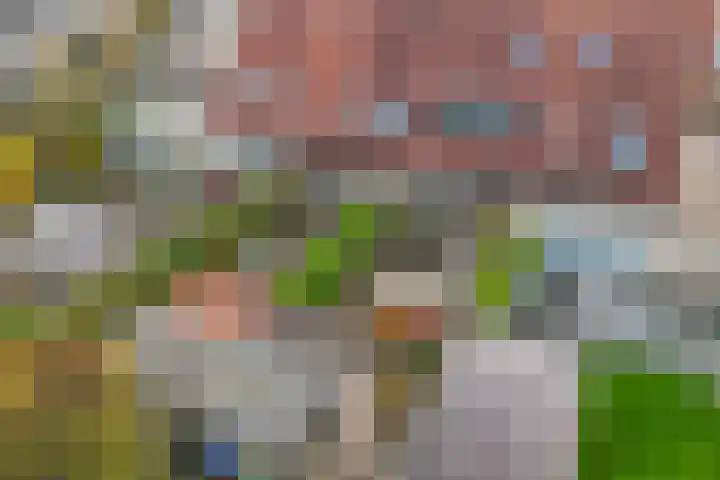 Appelhofshoeve 34 Steenwijk thumbnail 34