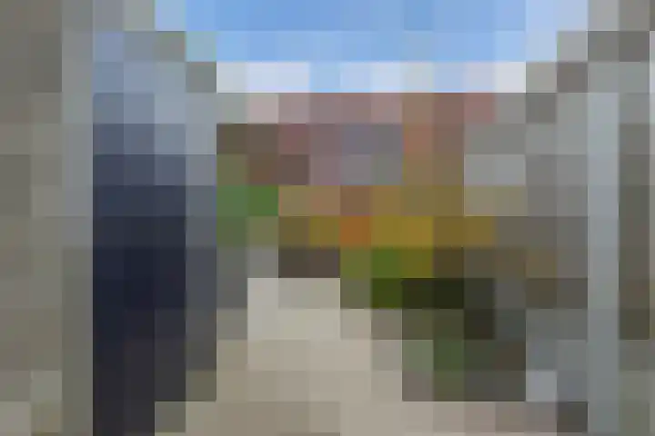 Appelhofshoeve 34 Steenwijk thumbnail 4
