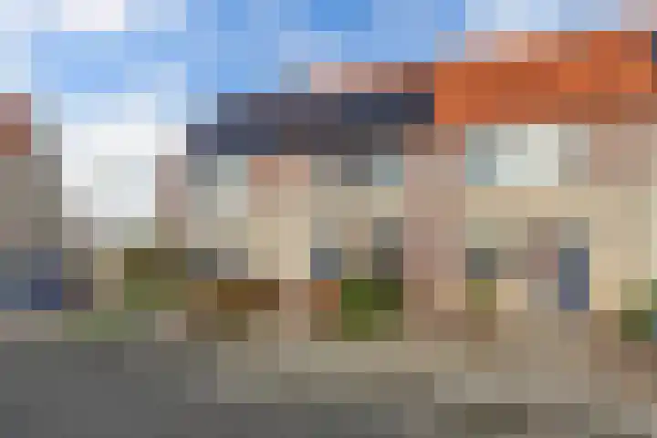 Appelhofshoeve 34 Steenwijk thumbnail 5