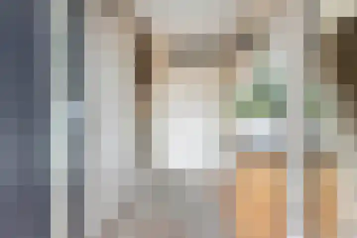 Appelhofshoeve 34 Steenwijk thumbnail 6