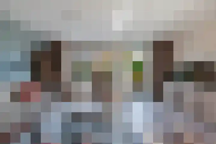 Appelhofshoeve 34 Steenwijk thumbnail 8