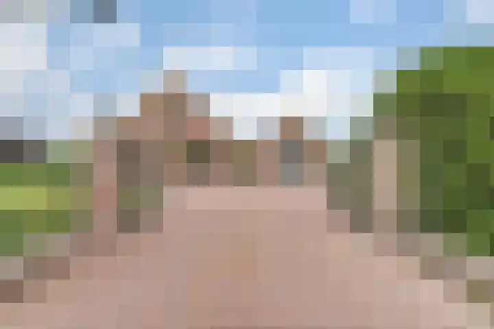 Appellaan 19 Harmelen