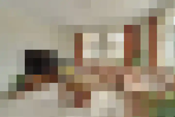 Appellaan 19 Harmelen thumbnail 10
