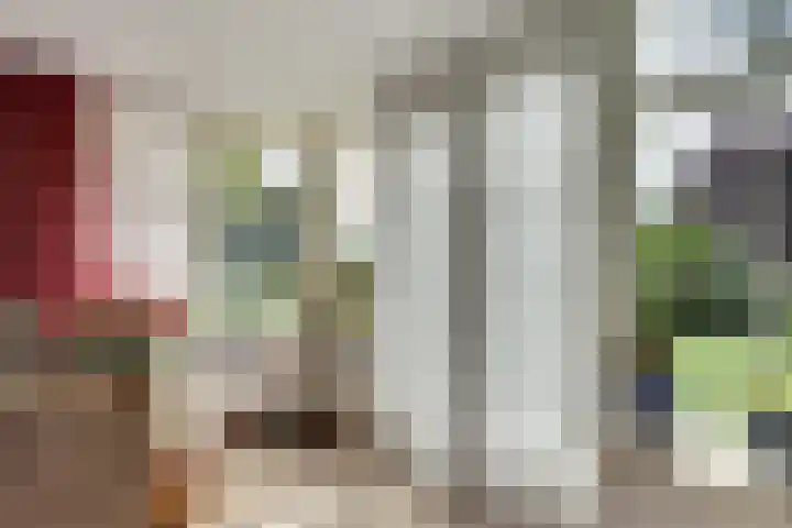 Appellaan 19 Harmelen thumbnail 15