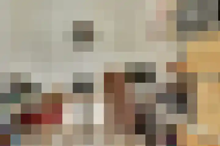 Appellaan 19 Harmelen thumbnail 17