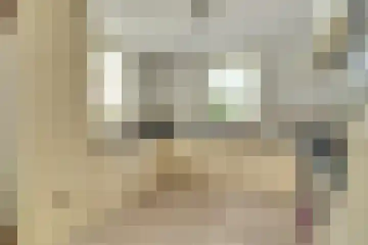Appellaan 19 Harmelen thumbnail 19