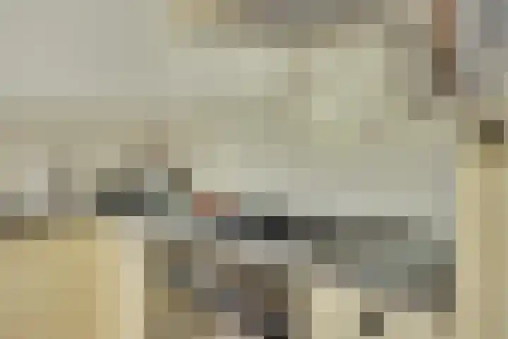 Appellaan 19 Harmelen thumbnail 20