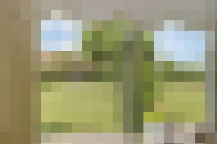 Appellaan 19 Harmelen thumbnail 21