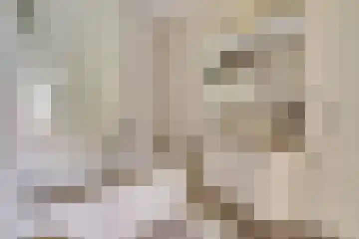 Appellaan 19 Harmelen thumbnail 24