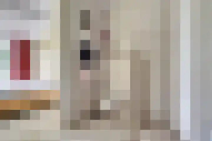 Appellaan 19 Harmelen thumbnail 25