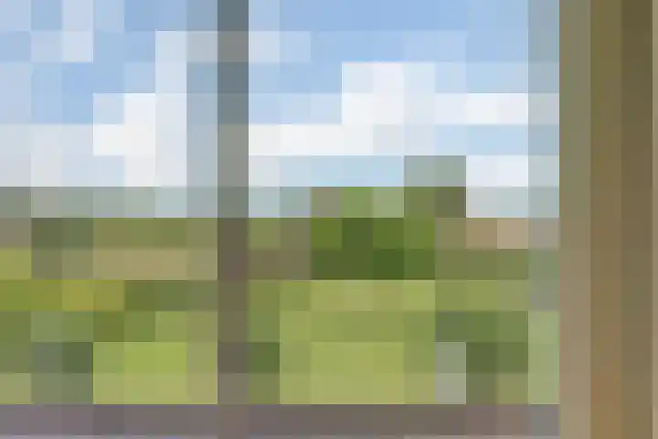 Appellaan 19 Harmelen thumbnail 31