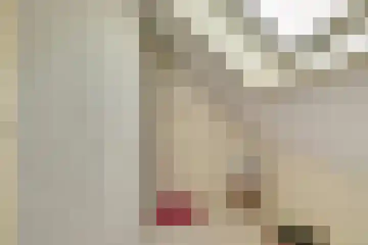 Appellaan 19 Harmelen thumbnail 37