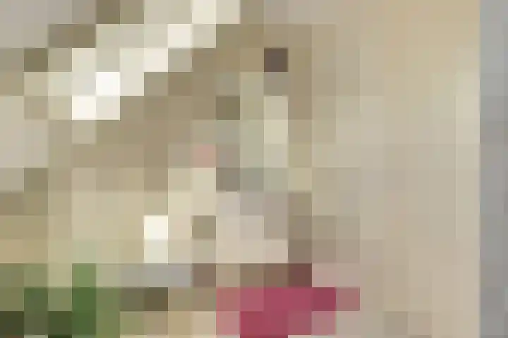 Appellaan 19 Harmelen thumbnail 38
