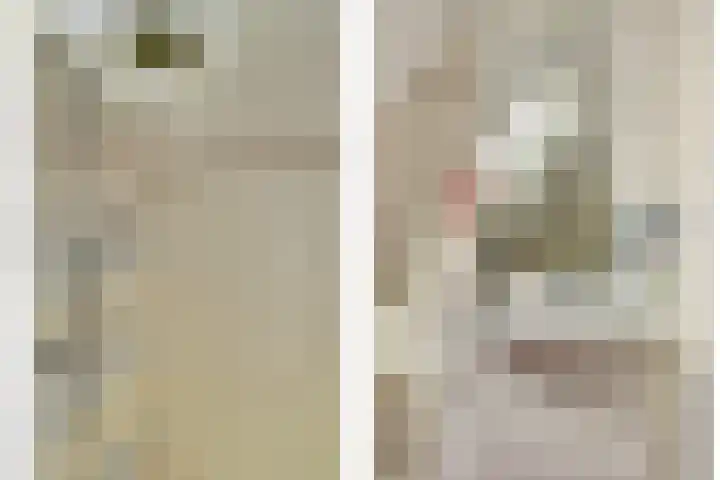 Appellaan 19 Harmelen thumbnail 39