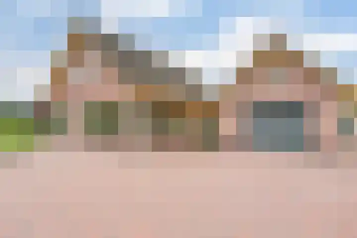 Appellaan 19 Harmelen thumbnail 4