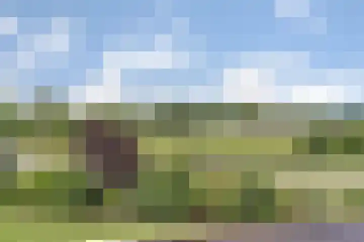 Appellaan 19 Harmelen thumbnail 40