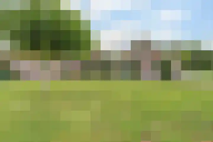Appellaan 19 Harmelen thumbnail 43