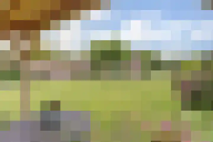 Appellaan 19 Harmelen thumbnail 45