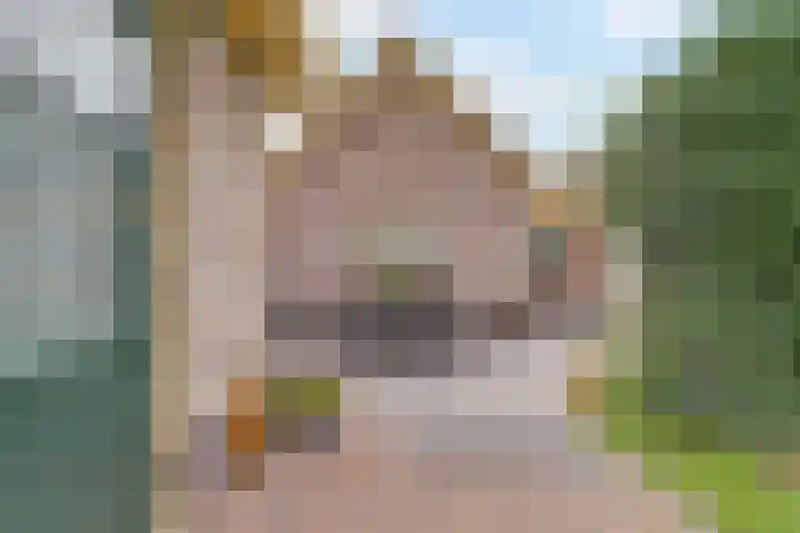 Appellaan 19 Harmelen thumbnail 48