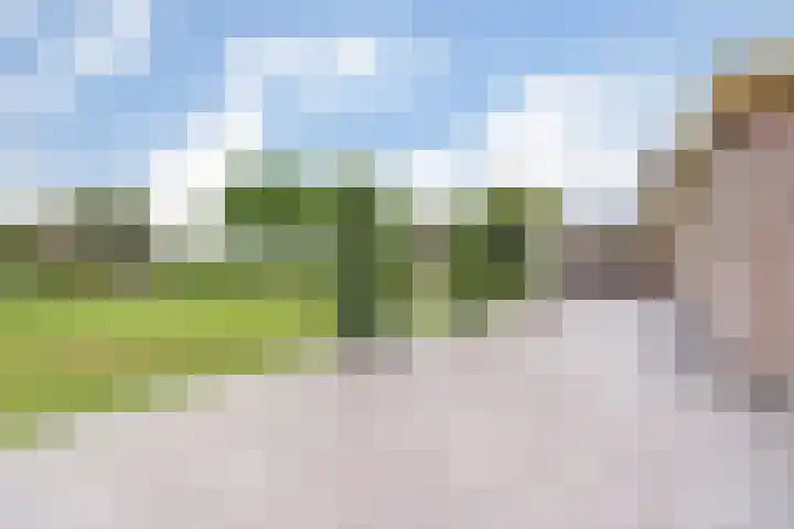 Appellaan 19 Harmelen thumbnail 50
