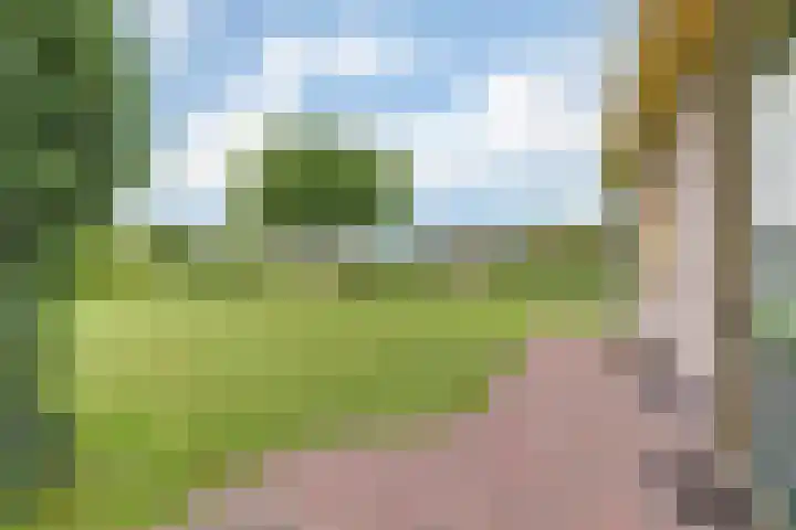 Appellaan 19 Harmelen thumbnail 51