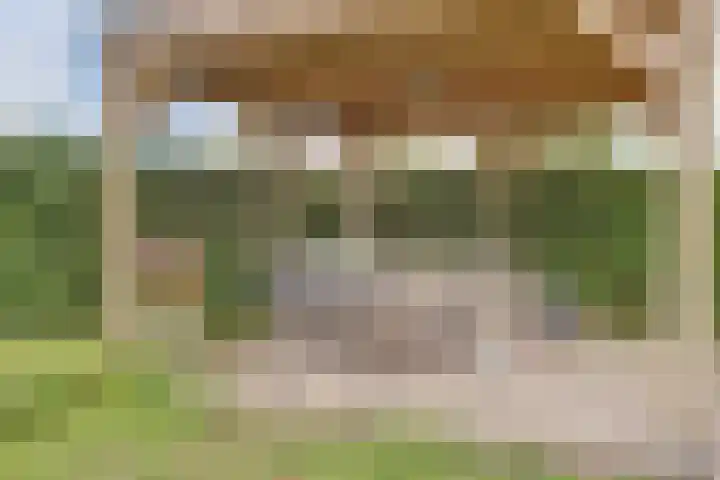 Appellaan 19 Harmelen thumbnail 52