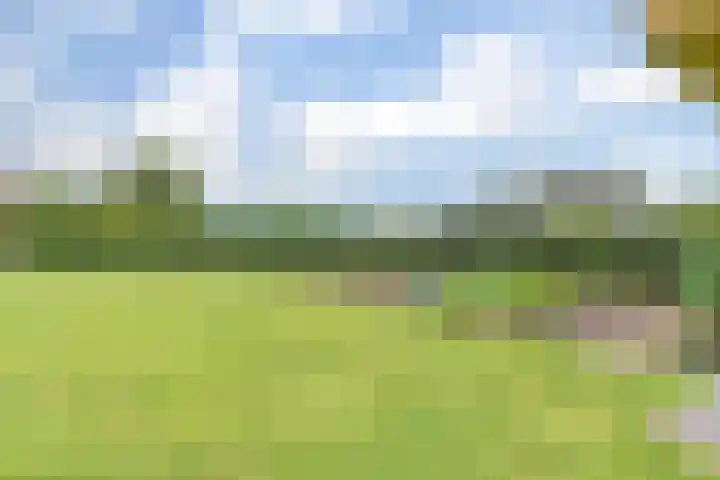 Appellaan 19 Harmelen thumbnail 53