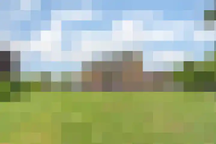 Appellaan 19 Harmelen thumbnail 54