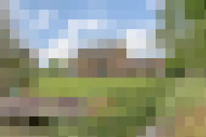 Appellaan 19 Harmelen thumbnail 55