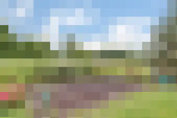Appellaan 19 Harmelen thumbnail 56