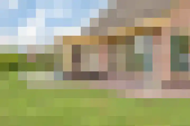 Appellaan 19 Harmelen thumbnail 57