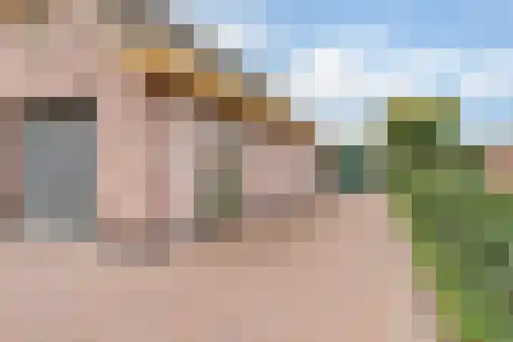 Appellaan 19 Harmelen thumbnail 58
