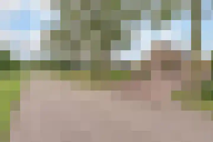 Appellaan 19 Harmelen thumbnail 59