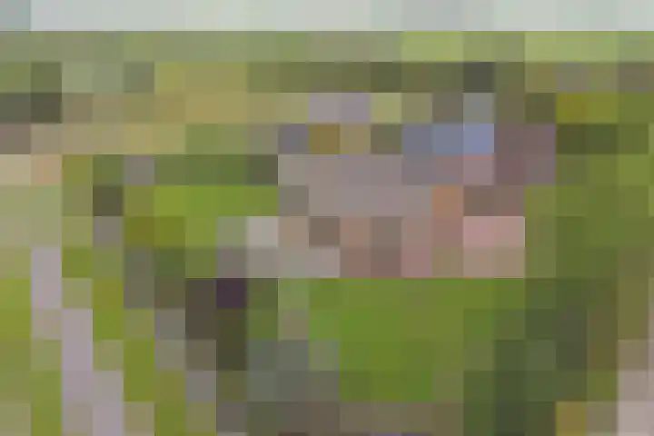 Appellaan 19 Harmelen thumbnail 61
