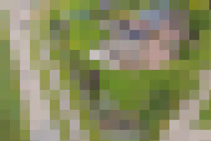 Appellaan 19 Harmelen thumbnail 62