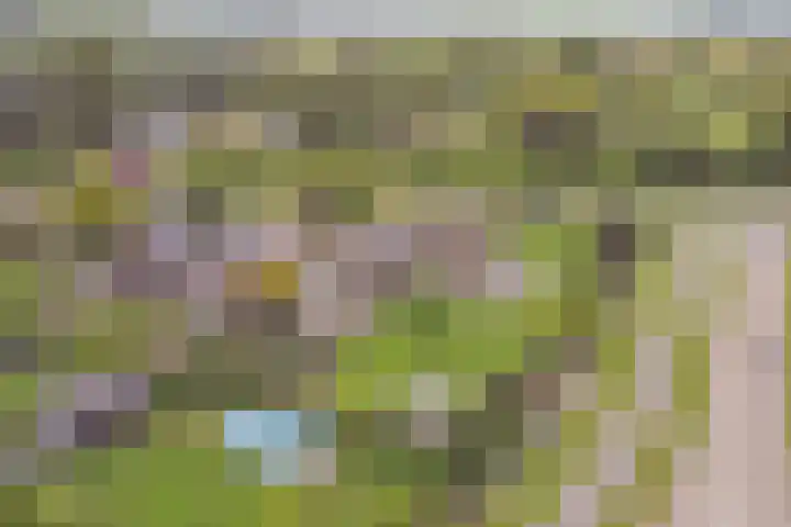 Appellaan 19 Harmelen thumbnail 64