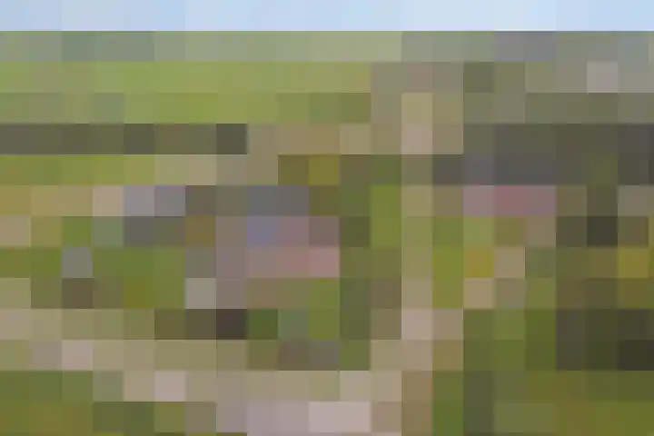 Appellaan 19 Harmelen thumbnail 65