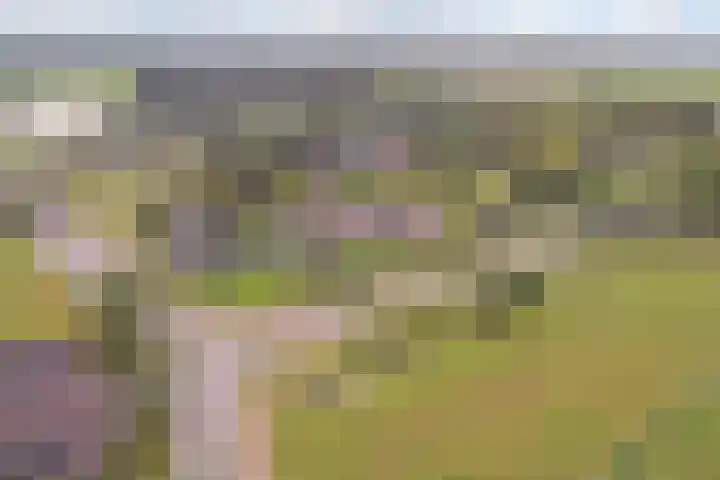 Appellaan 19 Harmelen thumbnail 66