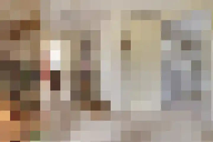 Appellaan 19 Harmelen thumbnail 8