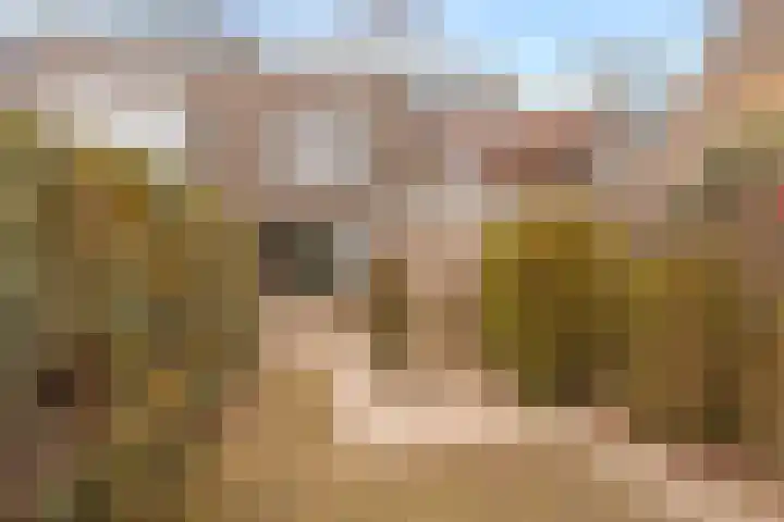 Appellaan 20 Bilthoven thumbnail 12