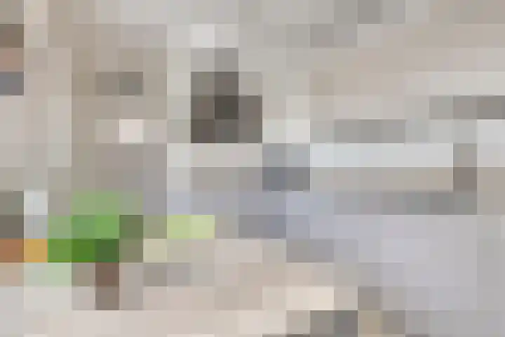 Appellaan 3 Bunde thumbnail 11